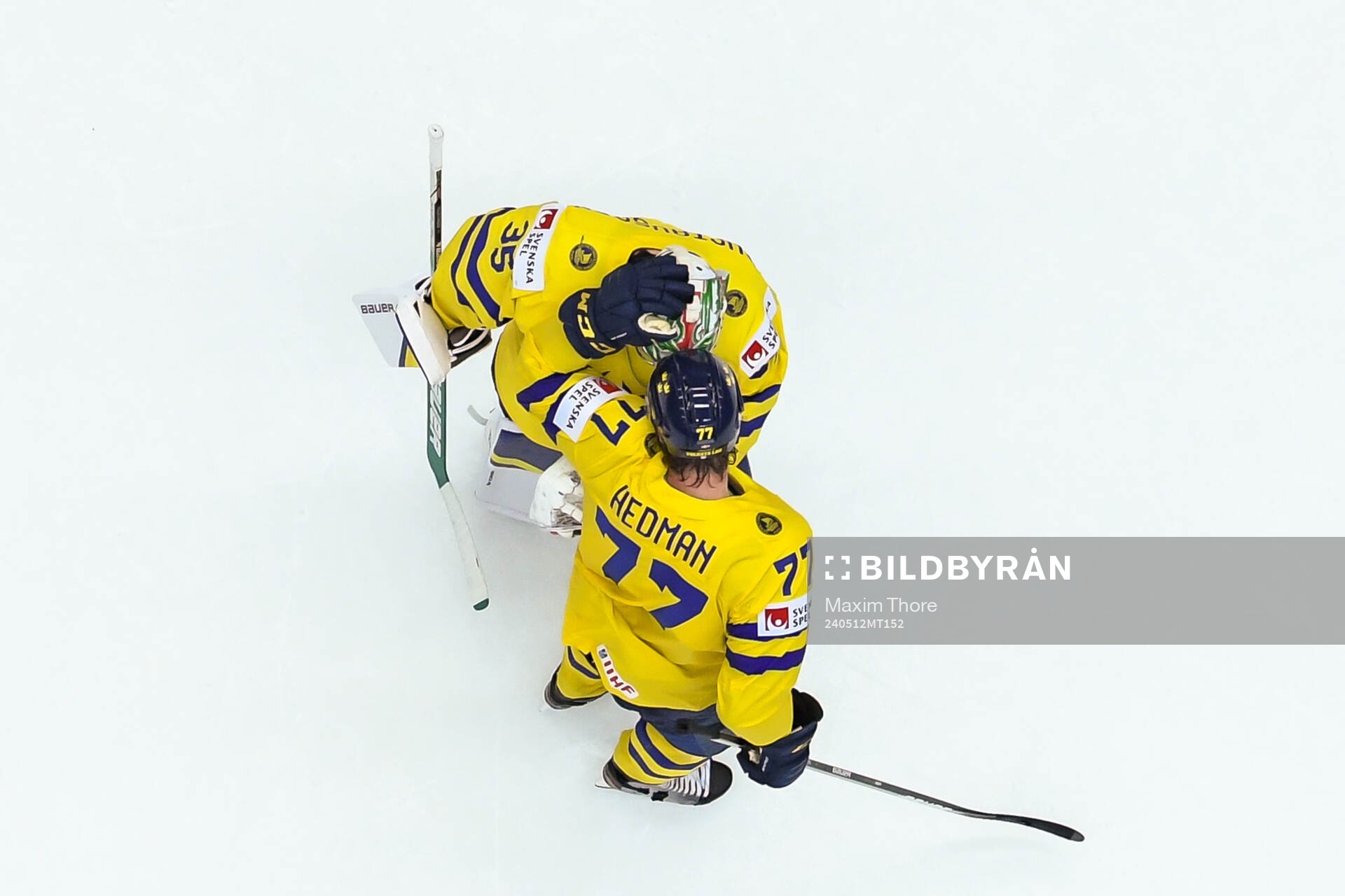 Goaltender Filip Gustavsson and Victor Hedman celebrate