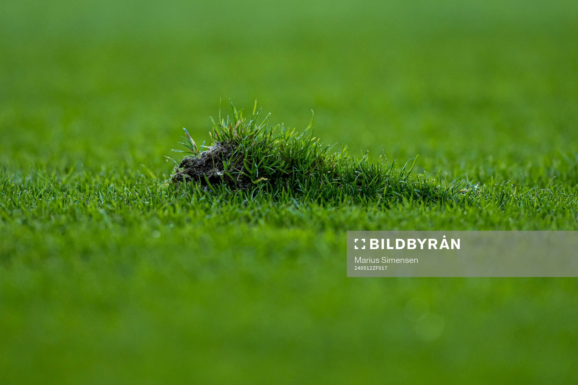 Quality of the grass at Åråsen Stadion