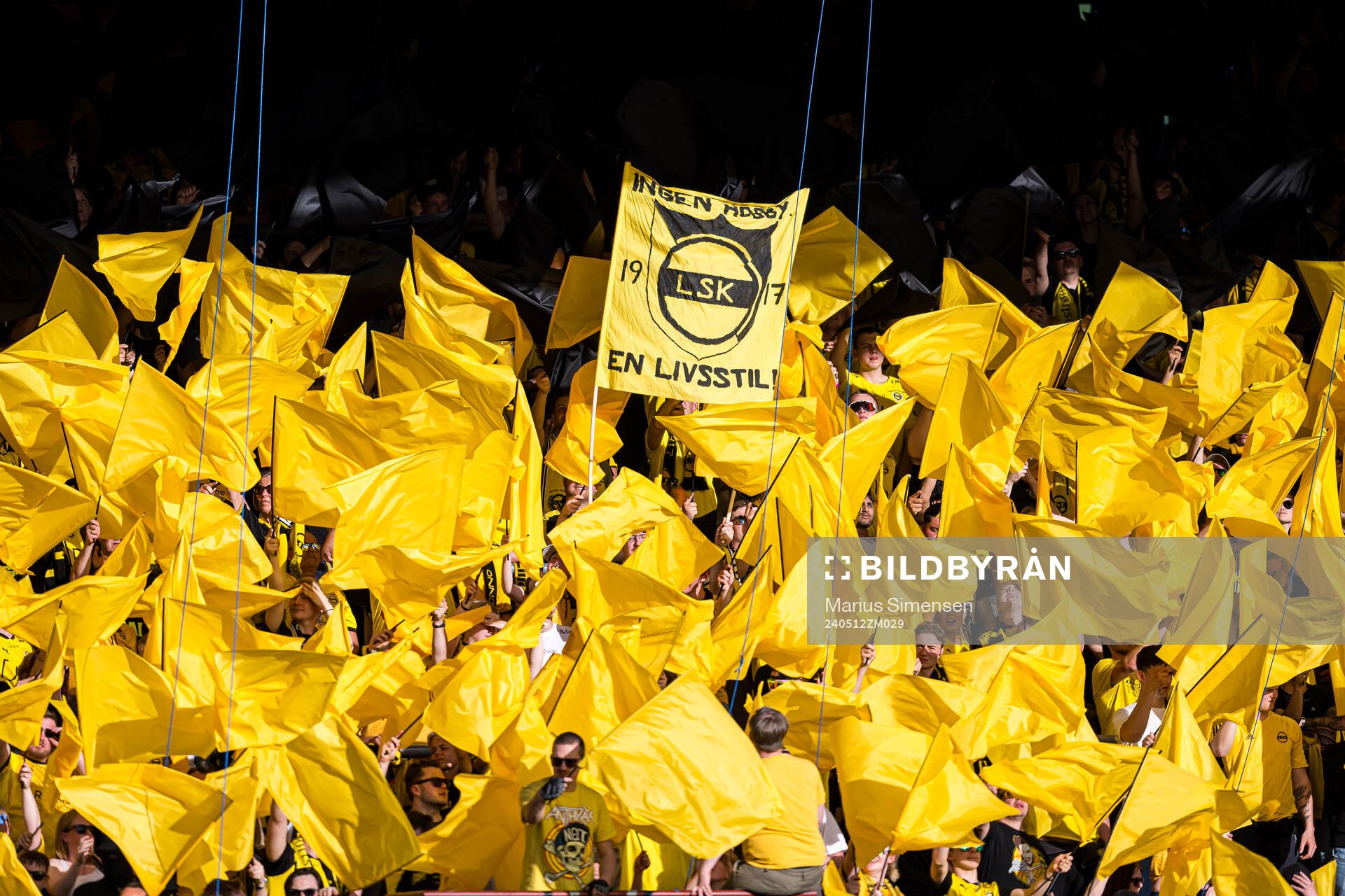 Spectators in the stands
