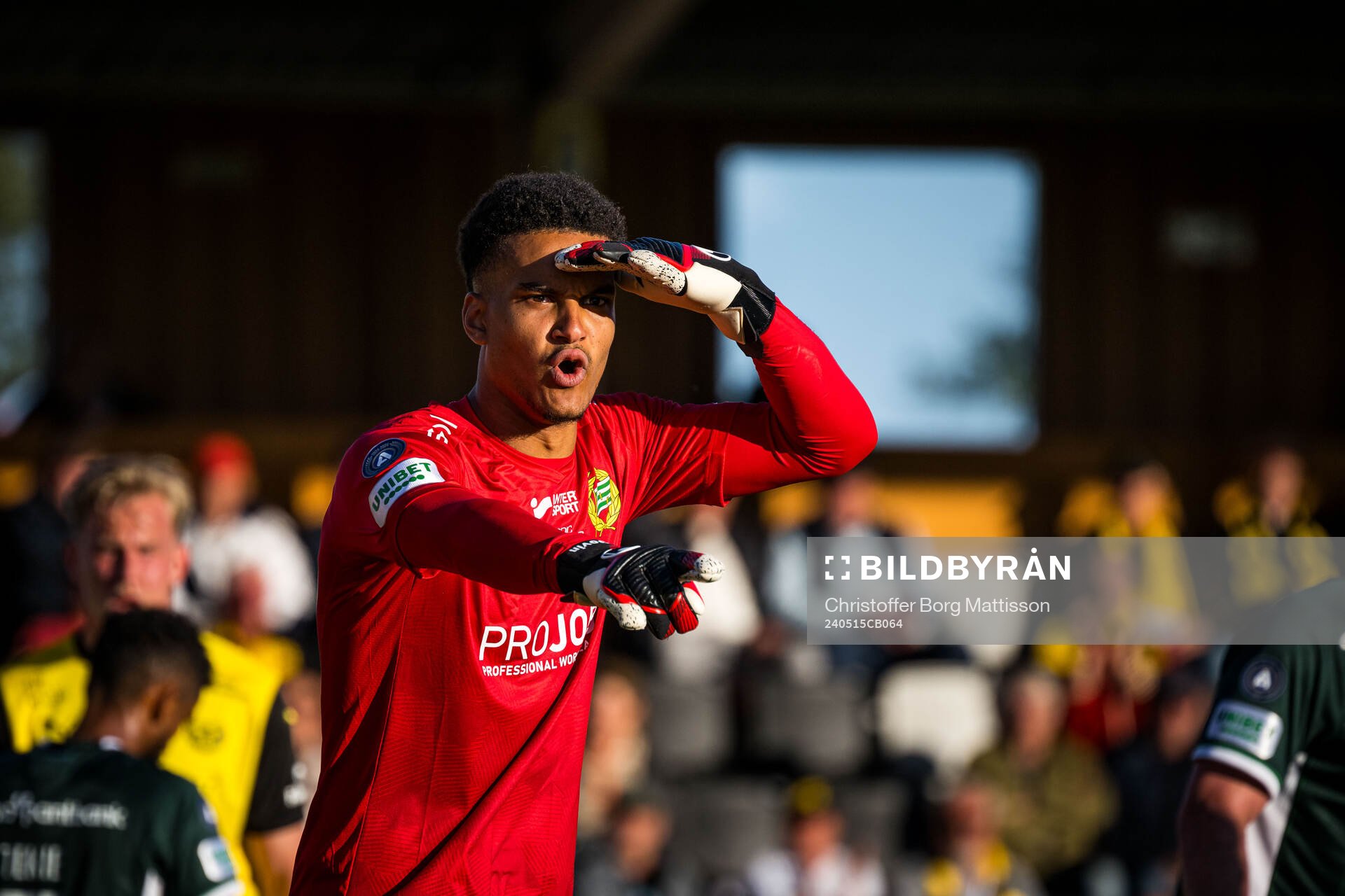 Hammarbys målvakt Oliver Dovin