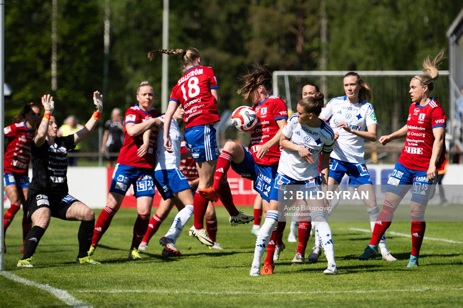 Vittsjös Michaela van