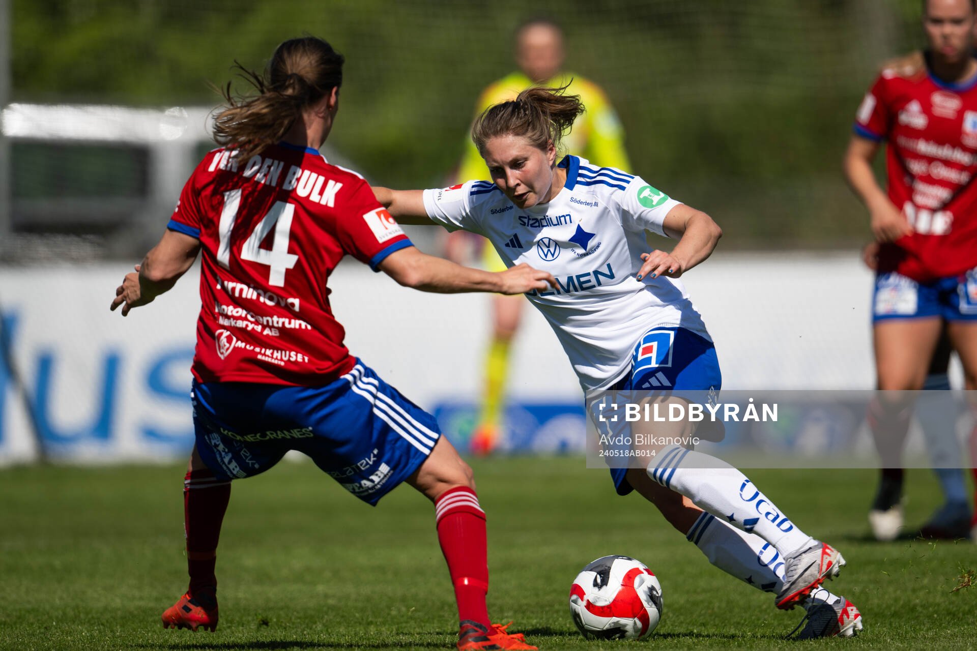 Vittsjös Michaela van