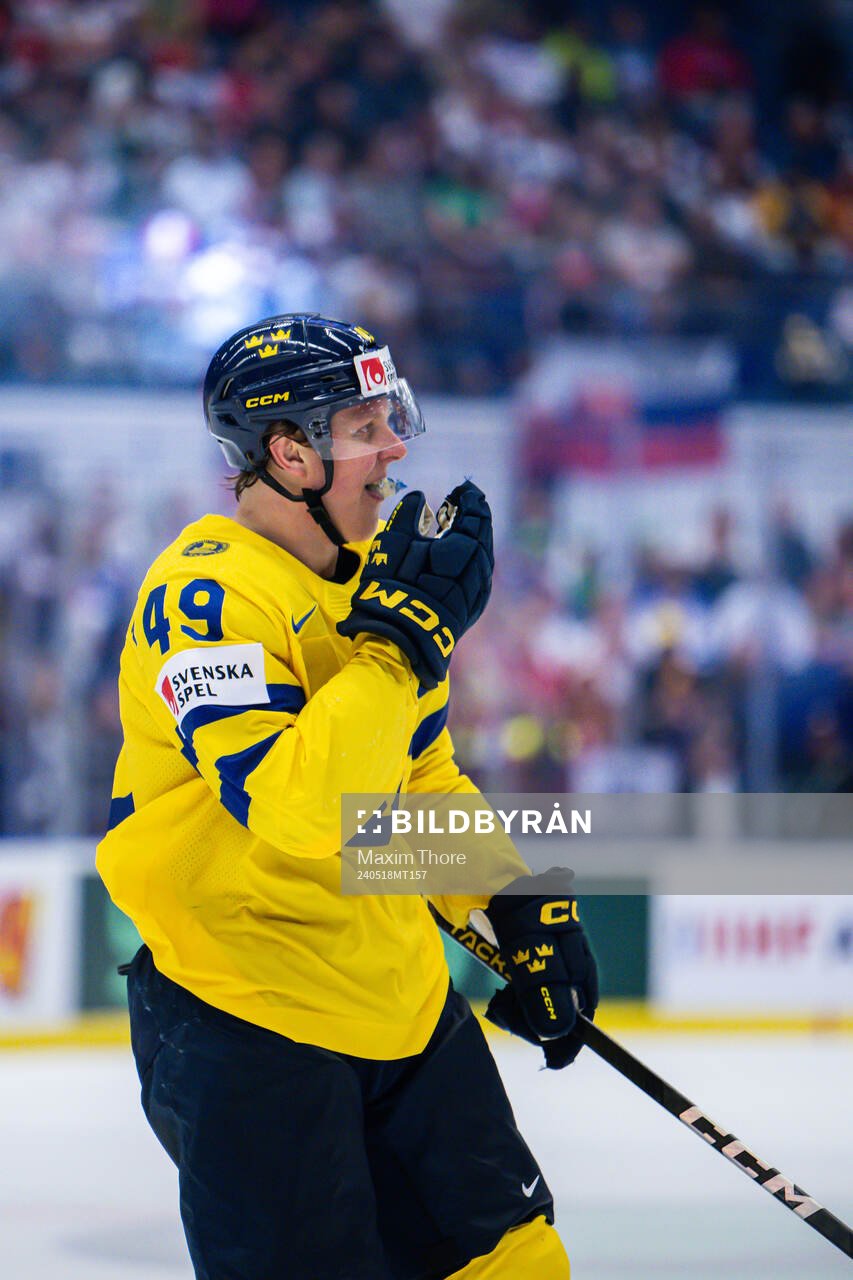 Fabian Zetterlund of Sweden celebrates the 2-5 goal