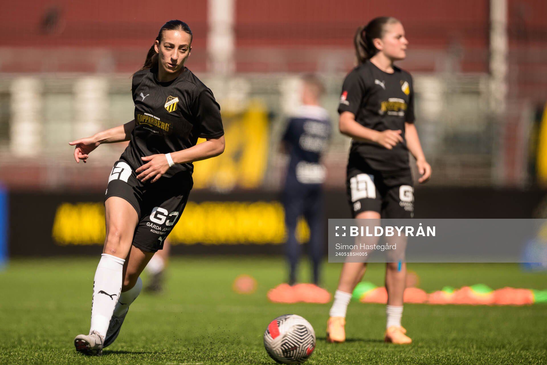 Häckens Rusul Rosa Kafaji