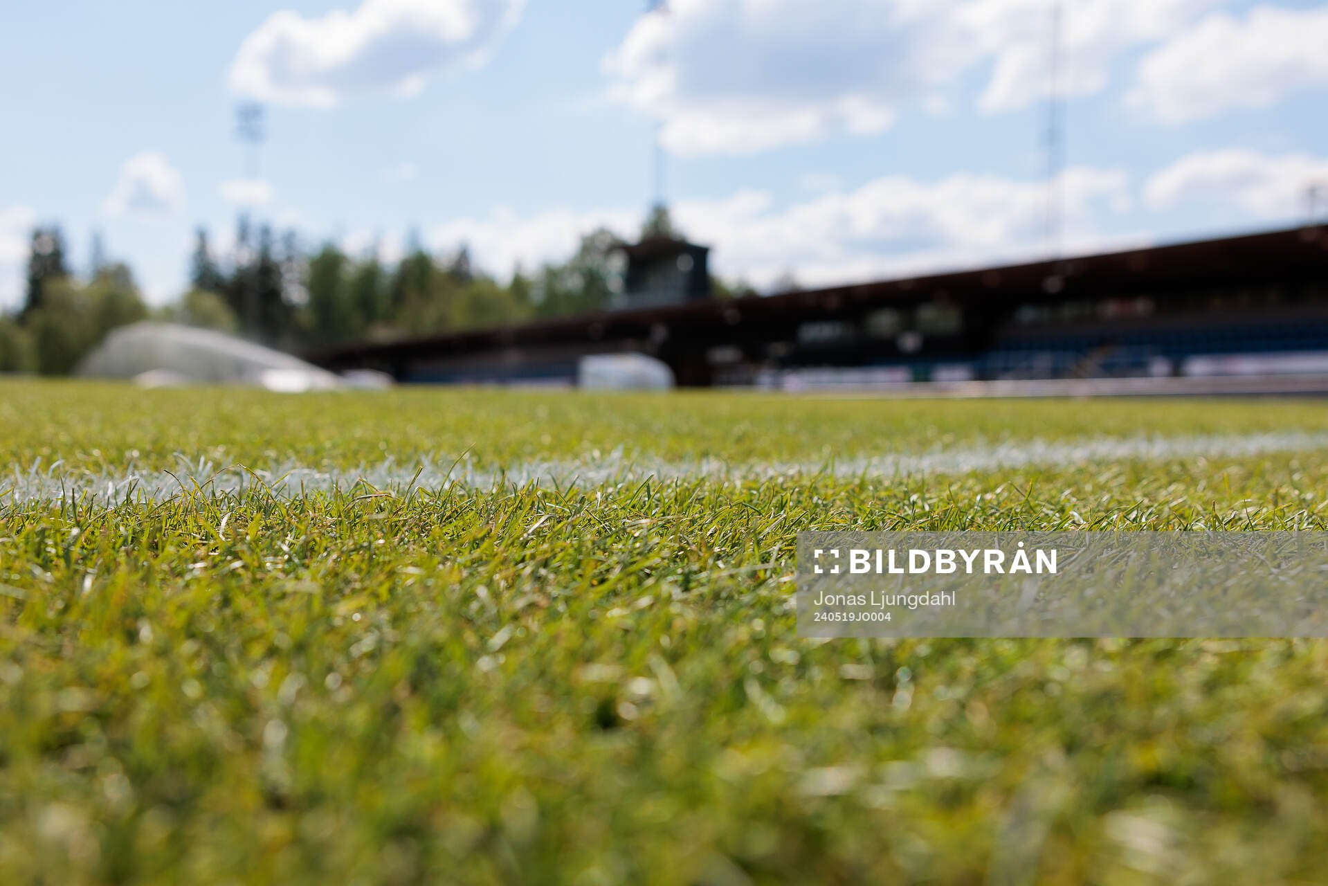 Gräsmatta på FInnvedvallen