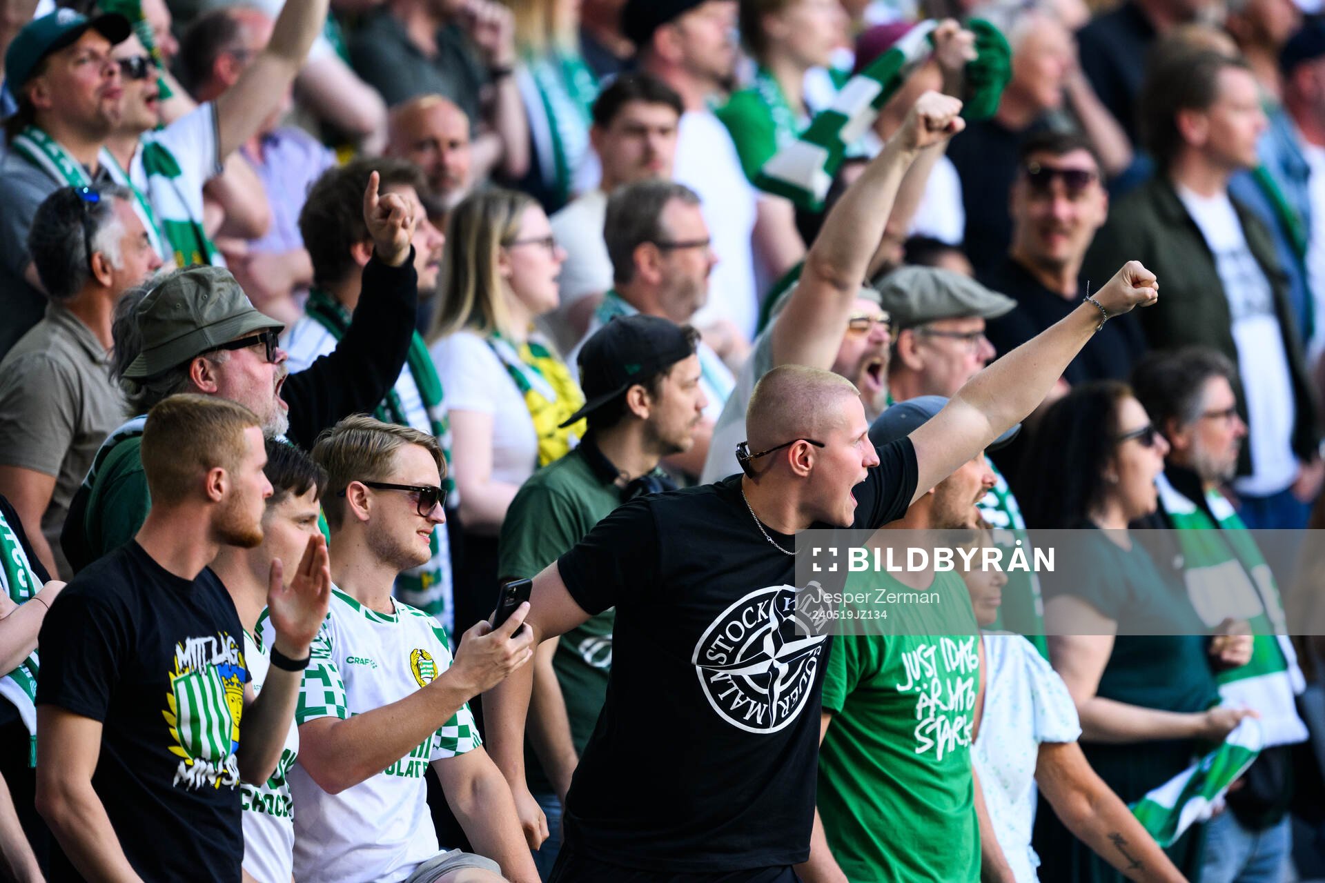 Hammarbys supportrar jublar