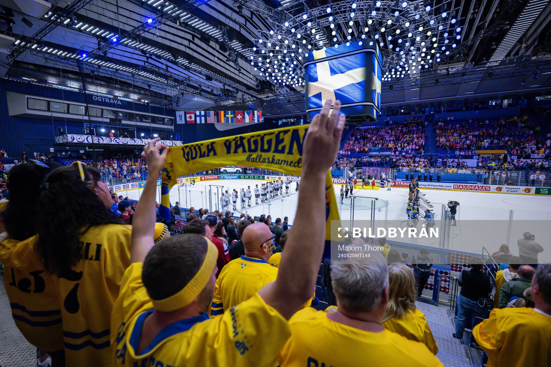 Supporters of Sweden