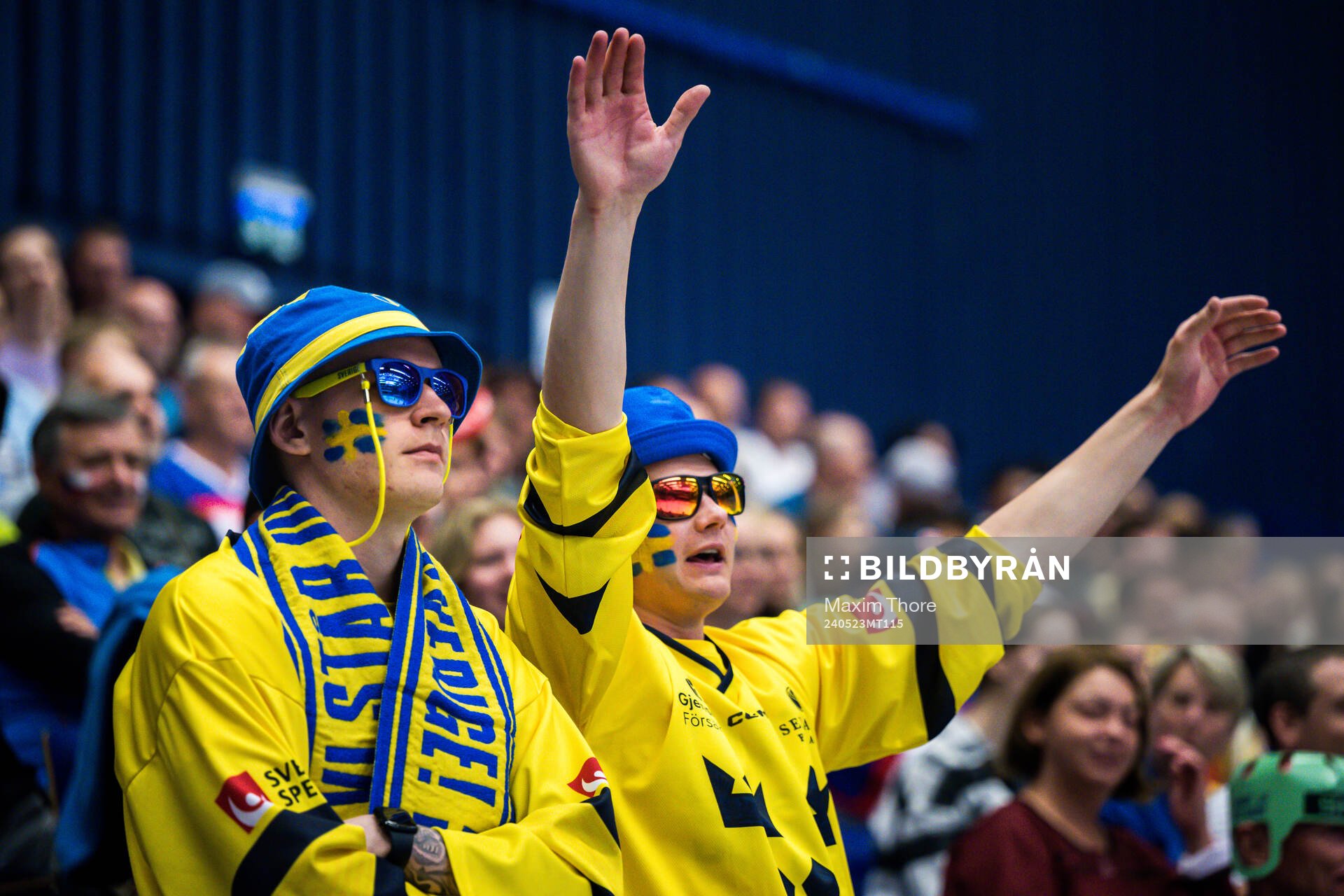 Supporters of Sweden