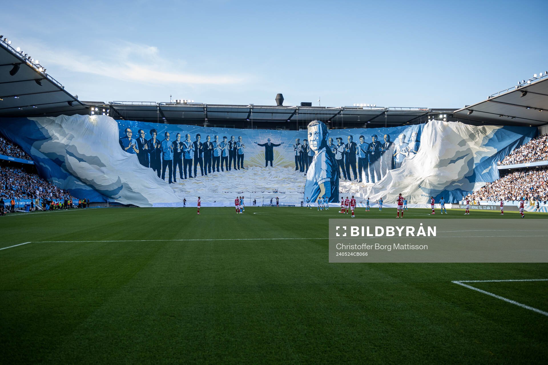 Tifo