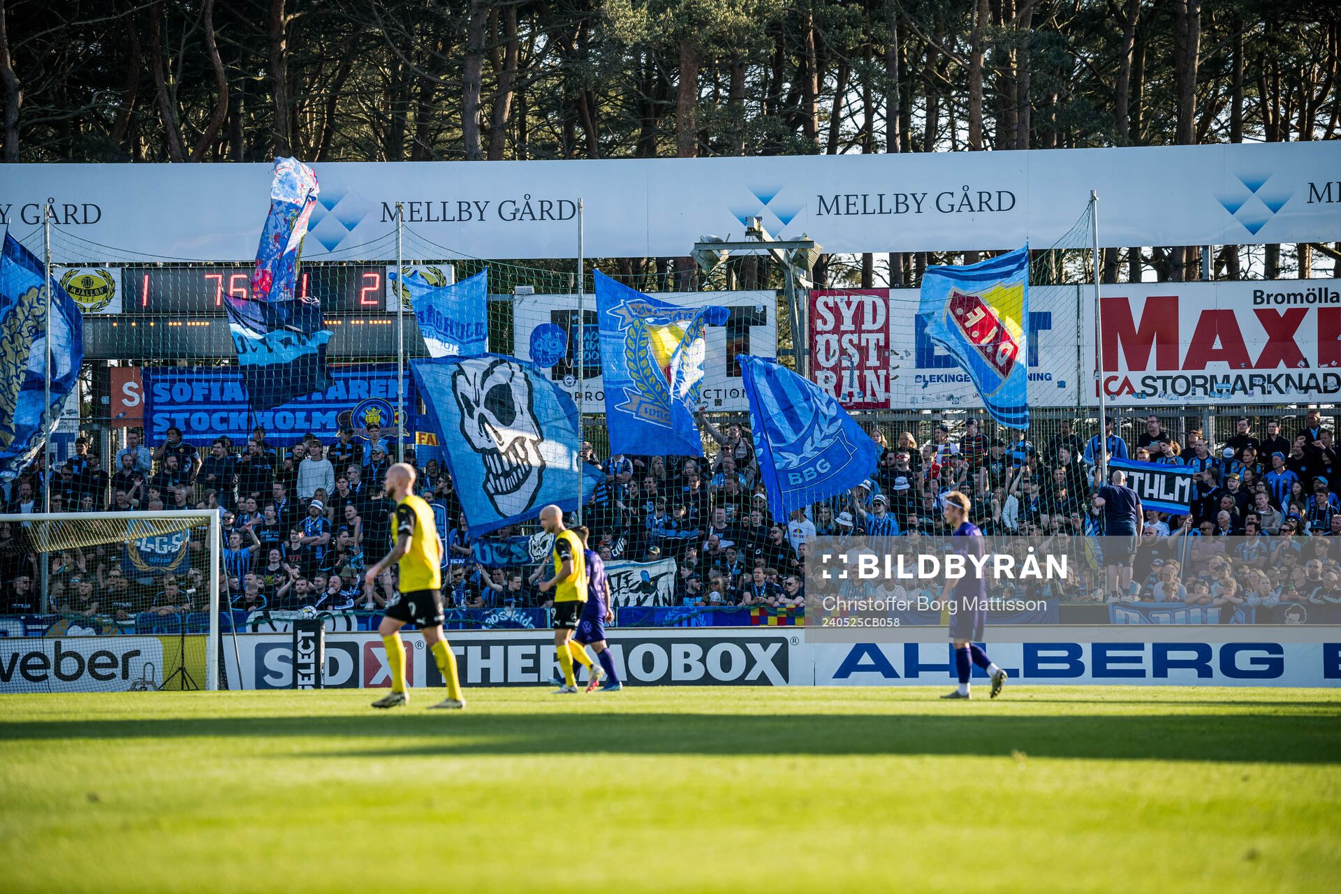 Djurgårdens supportrar