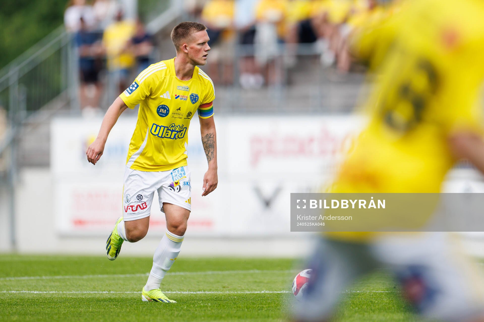 Falkenbergs Tim Stålheden