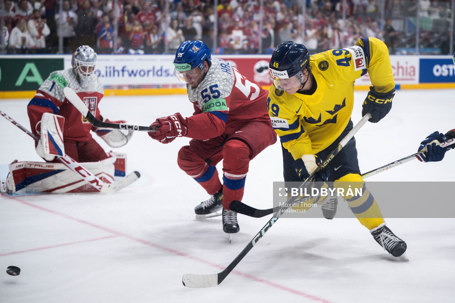 Libor Hajek of Czech Republic and Fabian Zetterlund of