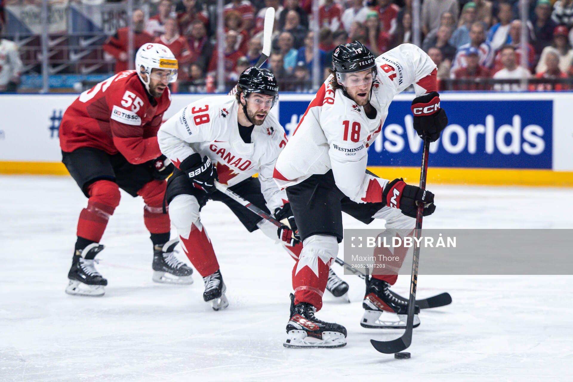 Dawson Mercer of Canada