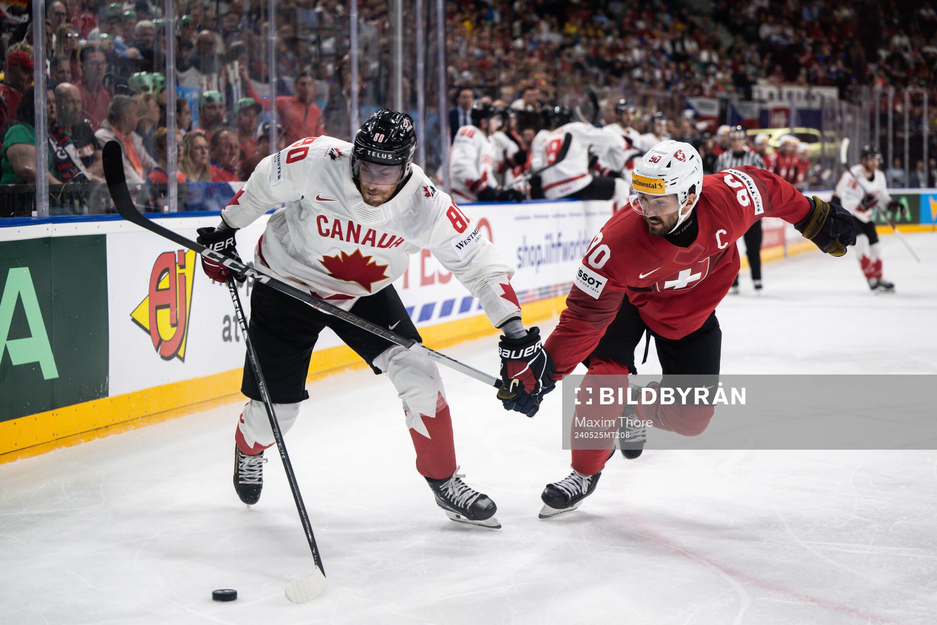 Pierre-Luc Dubois of Canada and Roman Josi of Switzerland