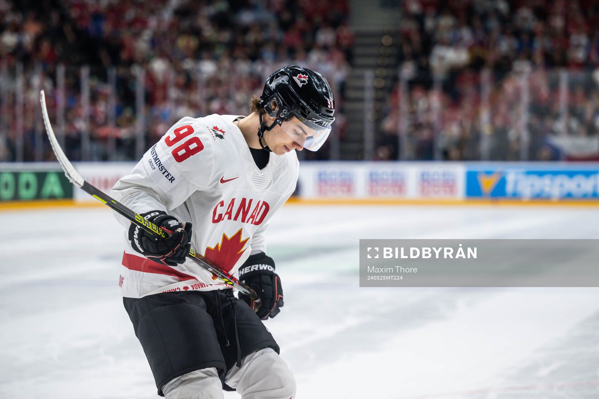 Conor Bedard