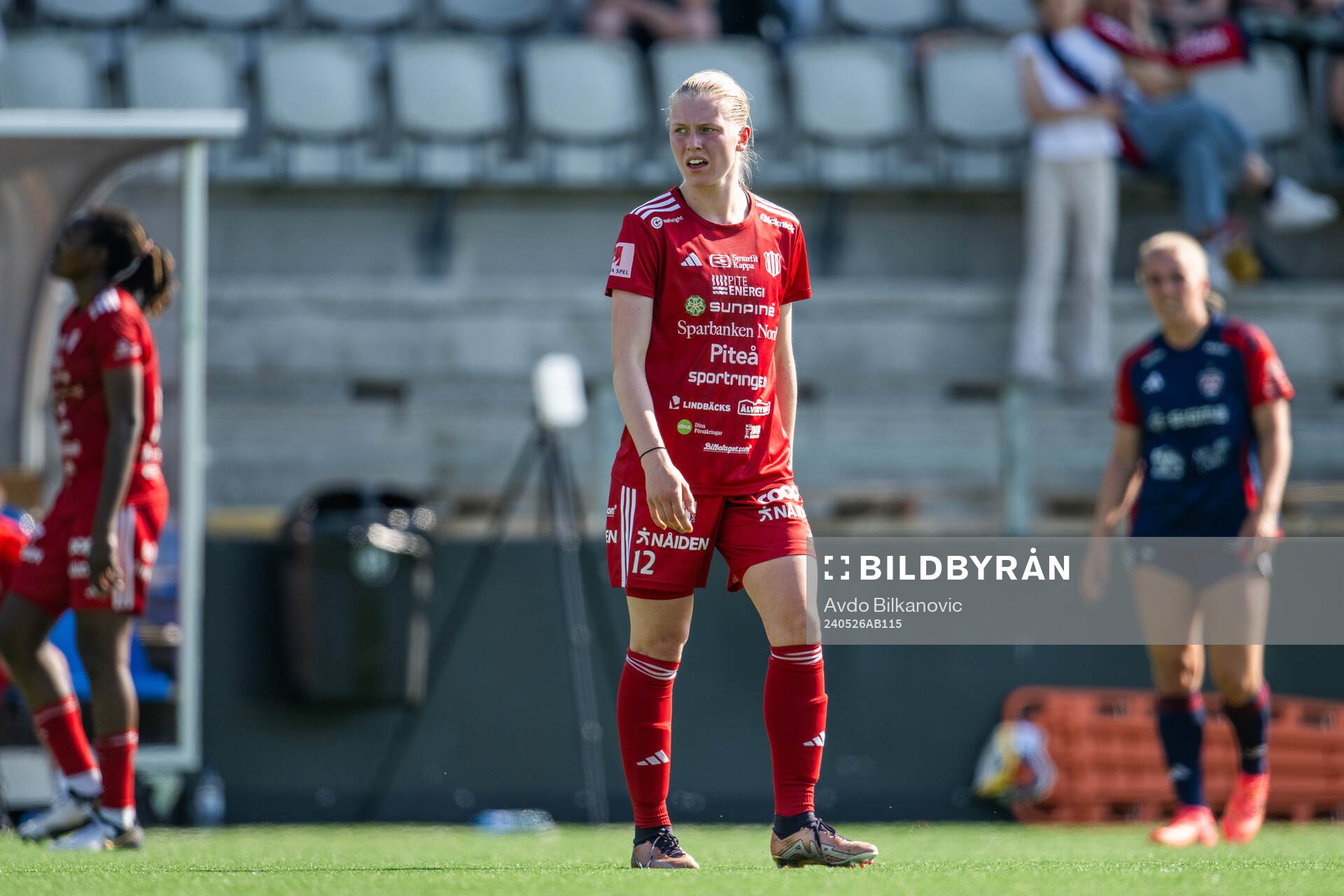 Piteås Saga Swedman