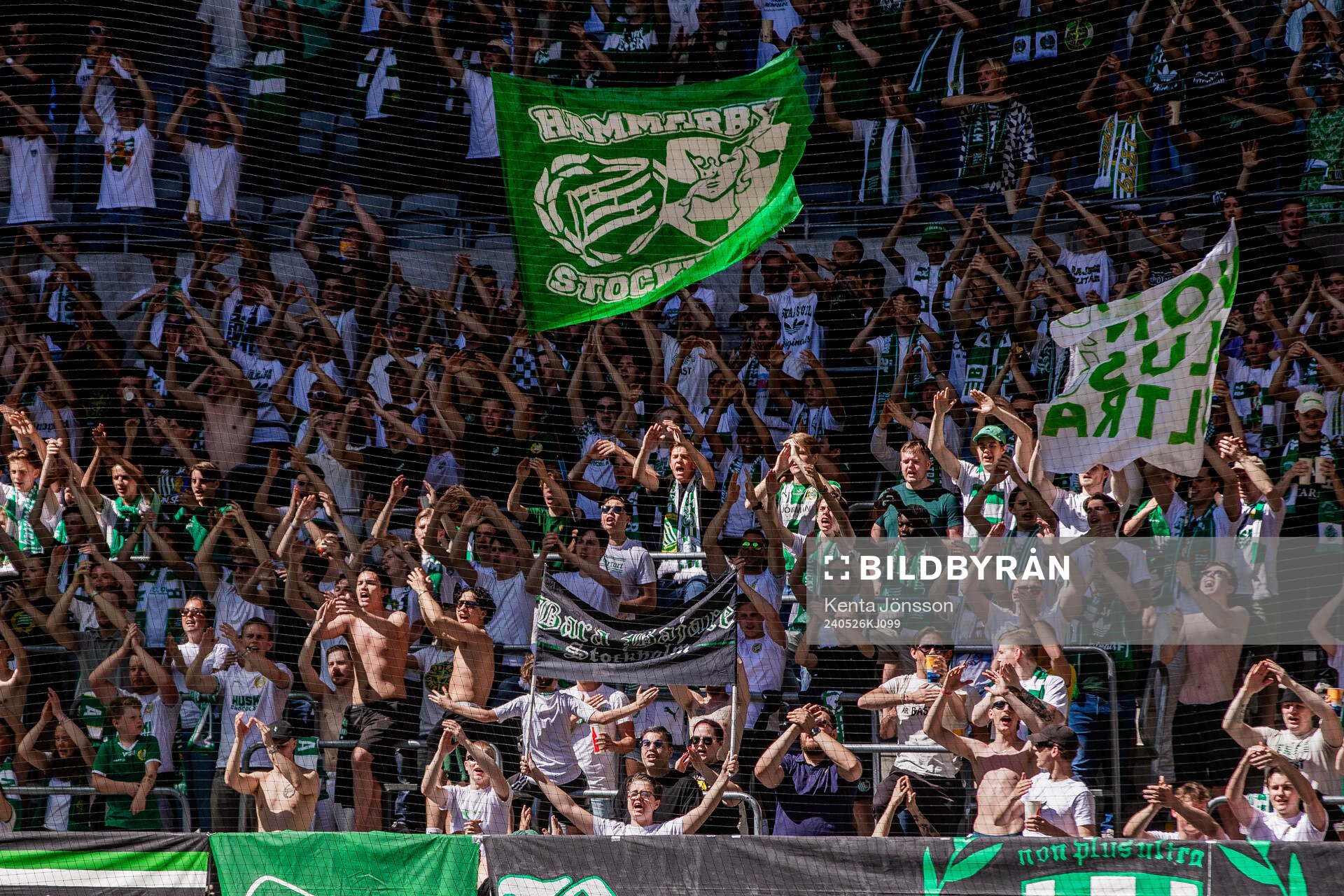 Hammarbys supportrar