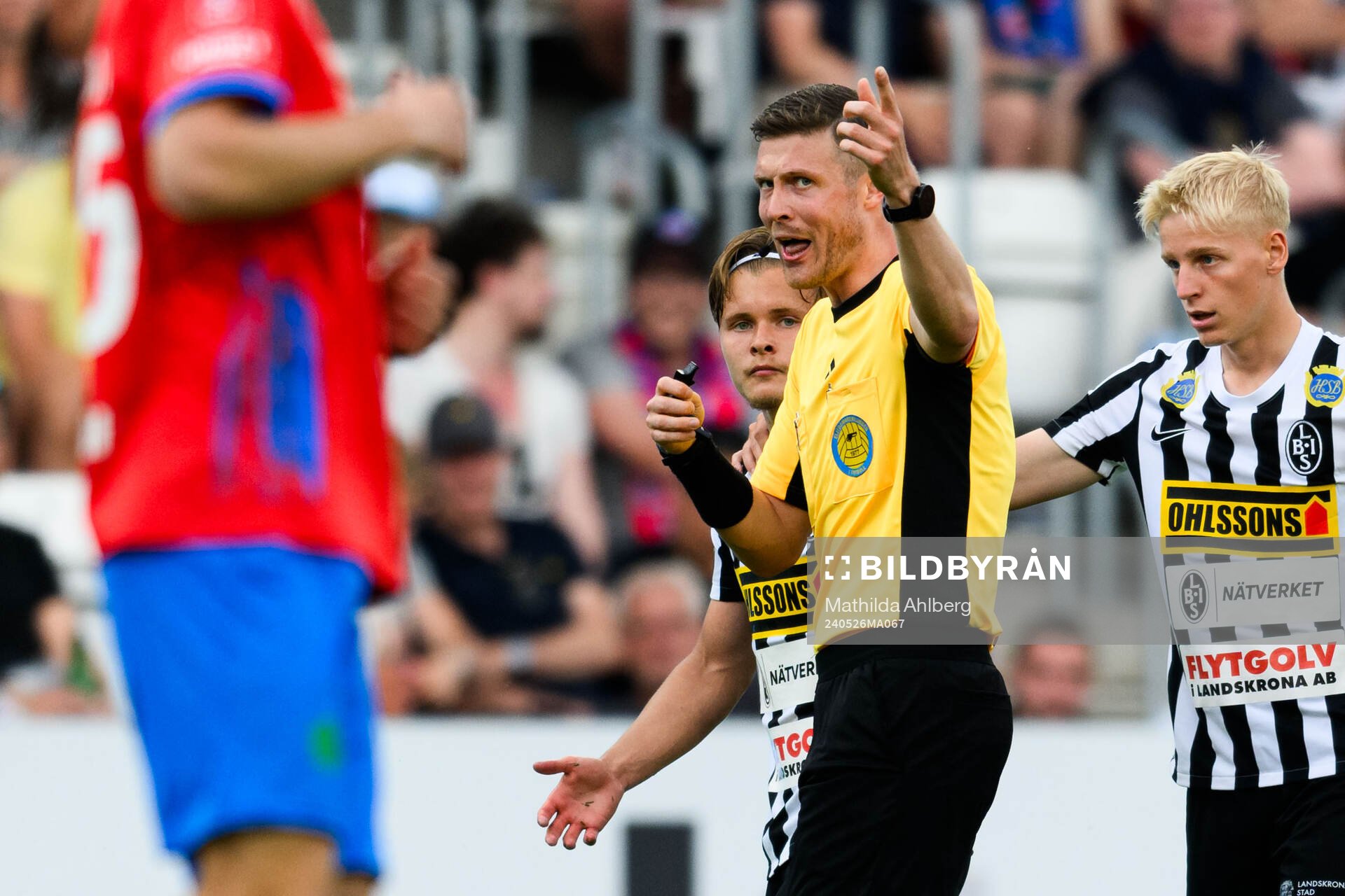 Domare Erik Mattsson och