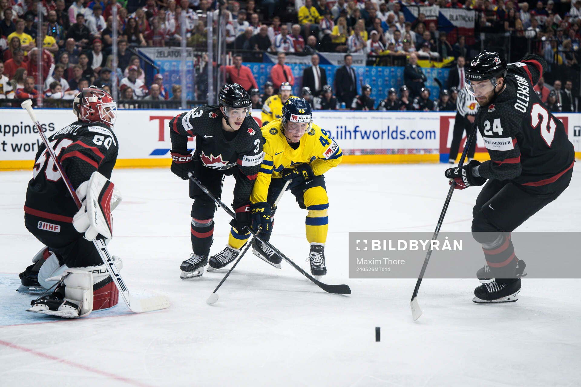 Olen Zelwegger of Canada, Fabian Zetterlund of Sweden and