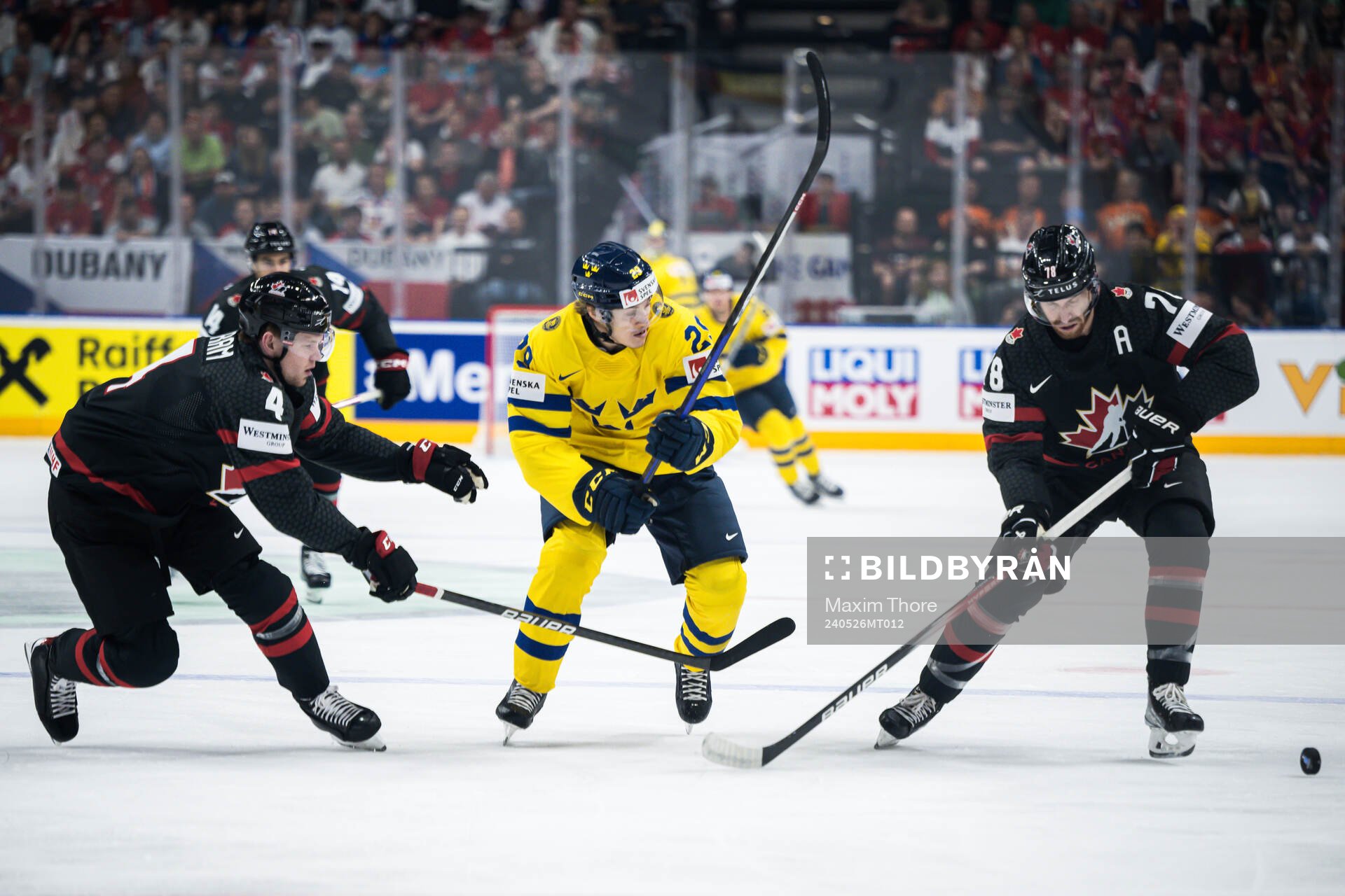 Bowen Byram of Canada, Pontus Holmberg of Sweden and Damon