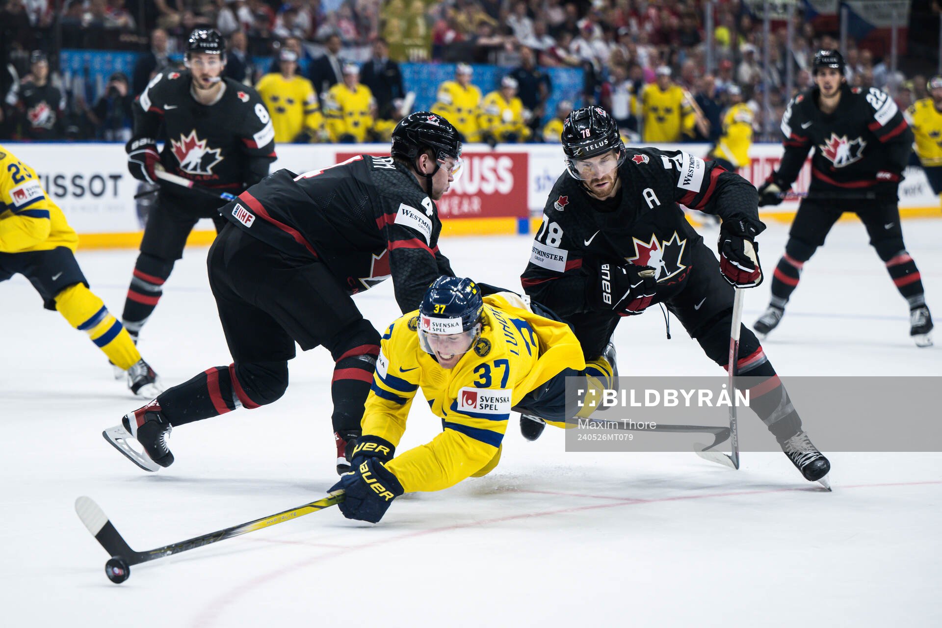 Bowen Byram of Canada, Isac Lundeström of Sweden and
