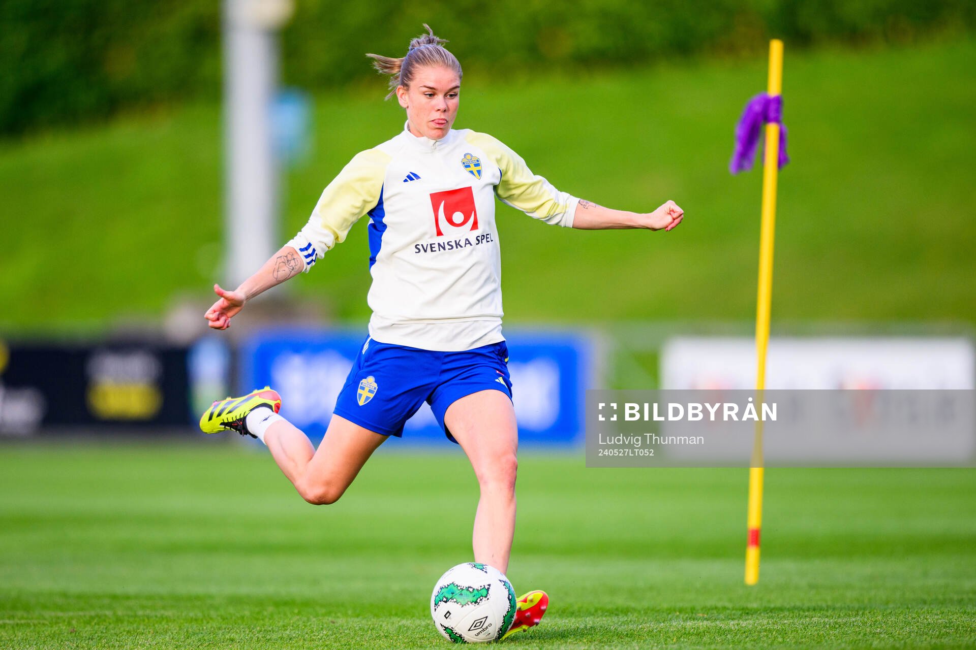 My Cato of Sweden at a training session the