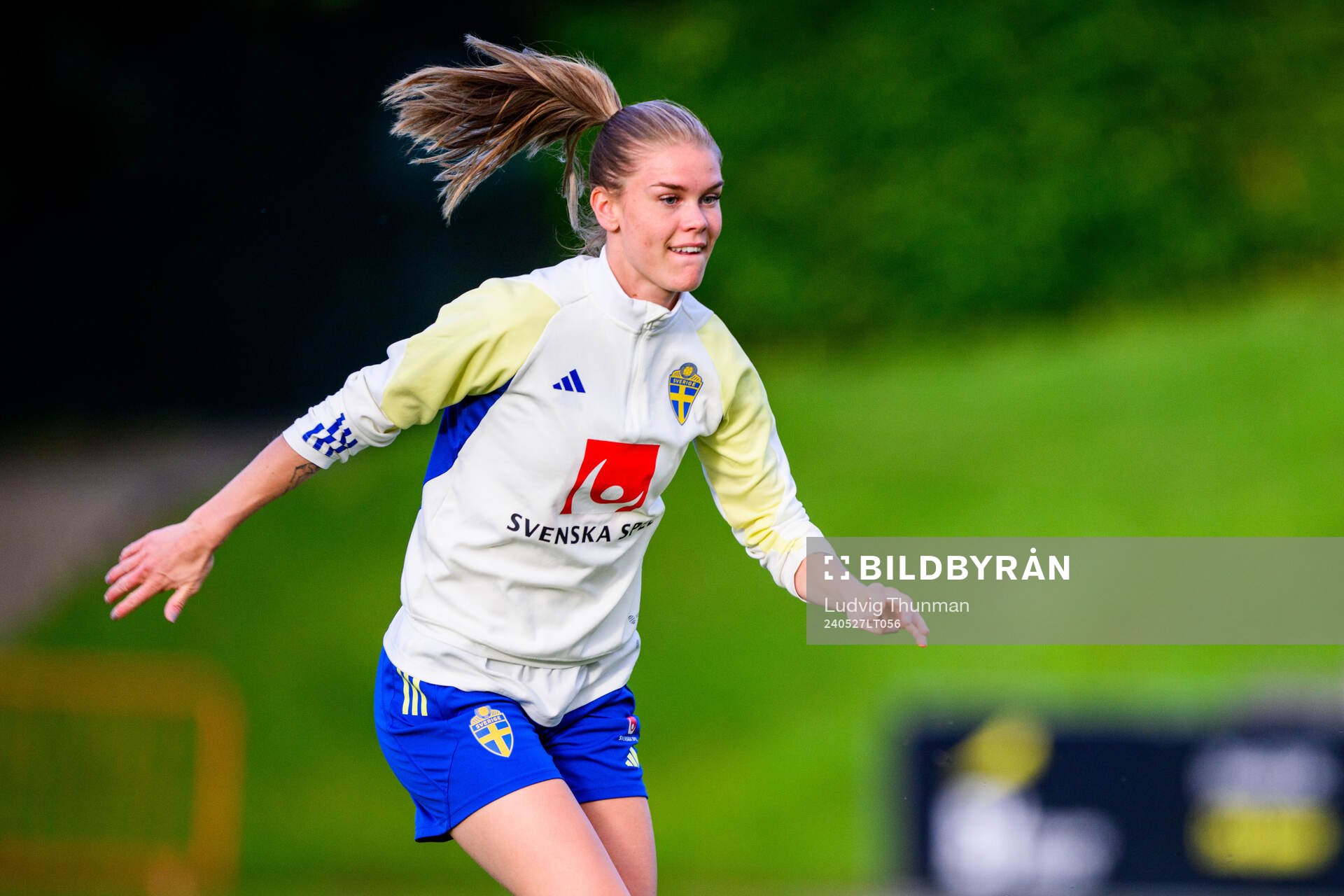 My Cato of Sweden at a training session the