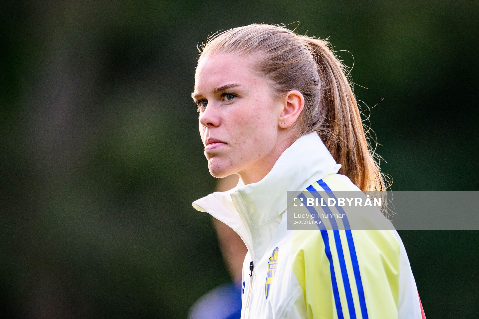 My Cato of Sweden at a training session the