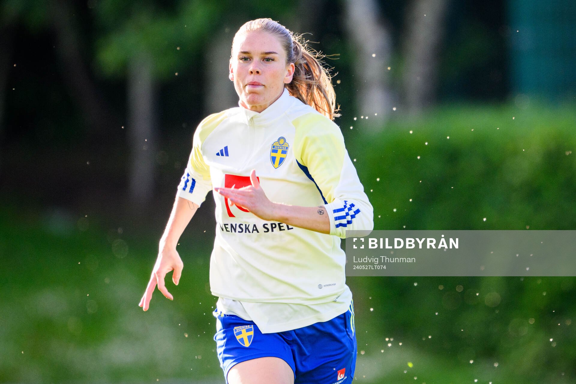 My Cato of Sweden at a training session the