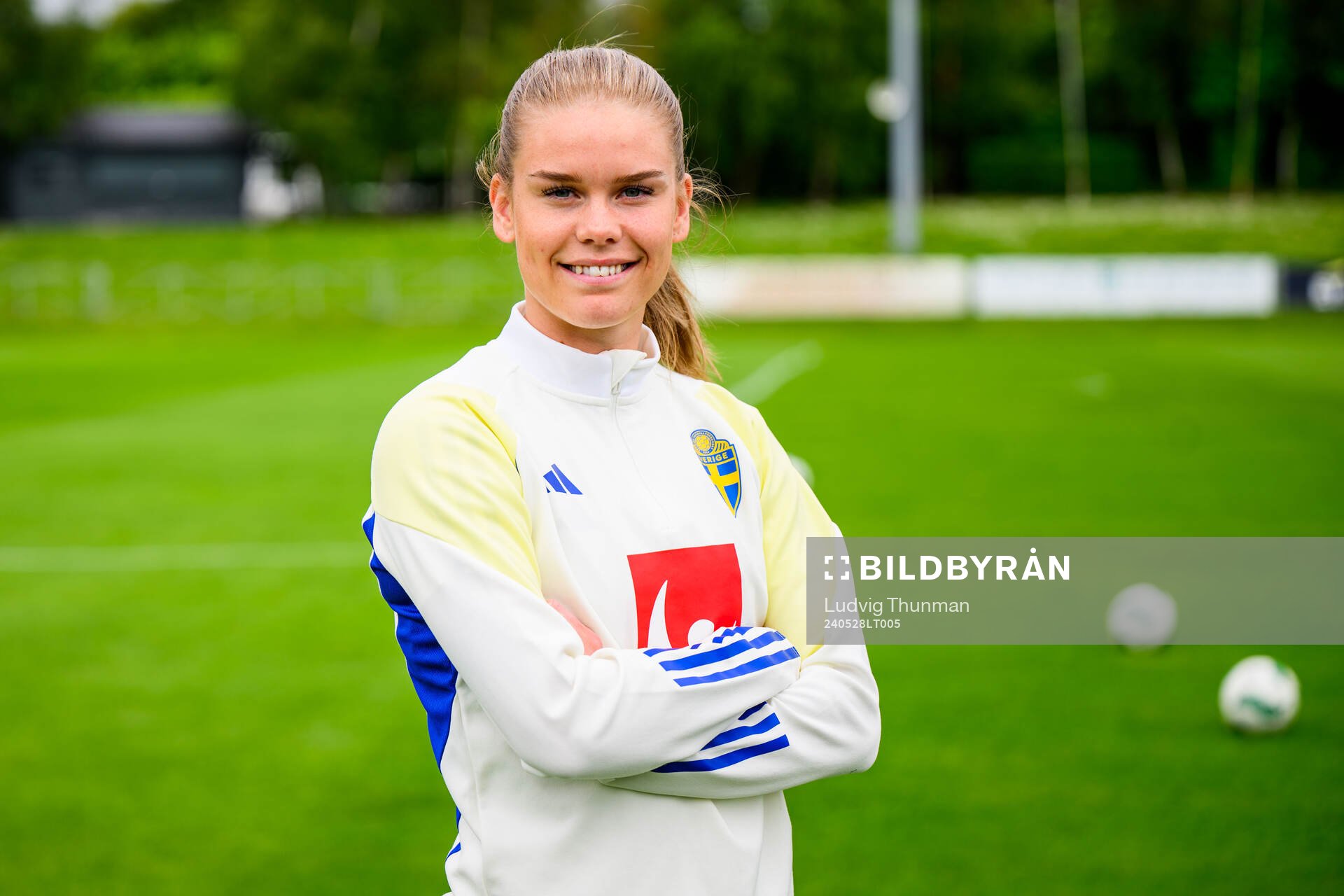 My Cato of Sweden at a training session