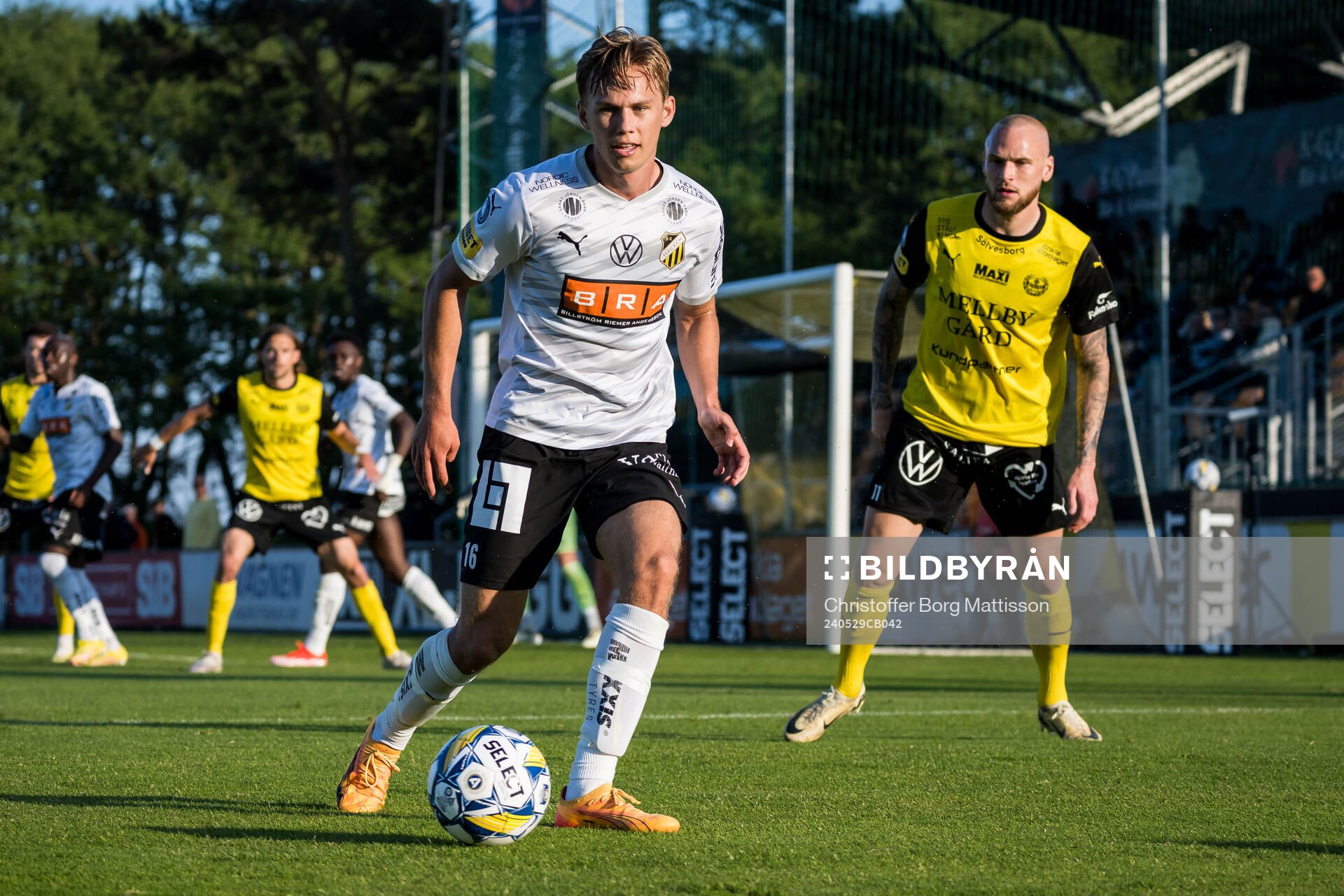 Häckens Pontus Dahbo