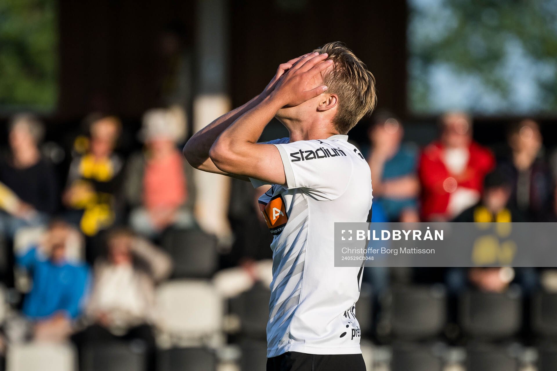 Häckens Pontus Dahbo deppar
