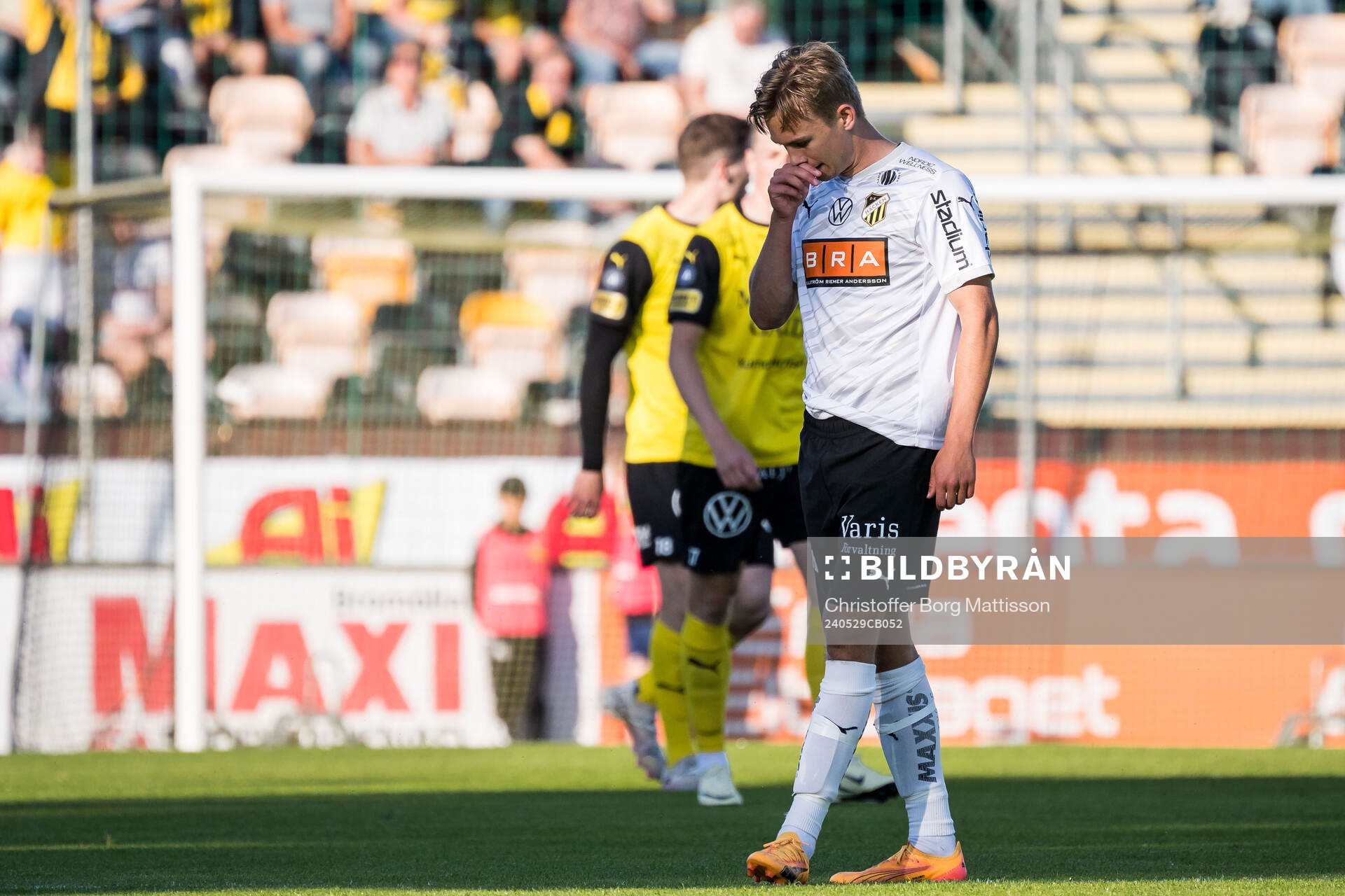 Häckens Pontus Dahbo deppar