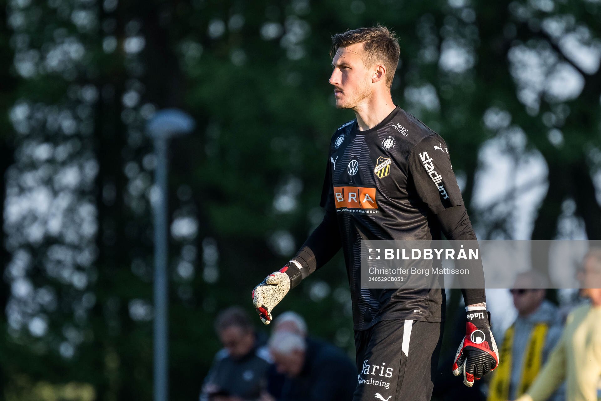 Häckens Andreas Linde deppar