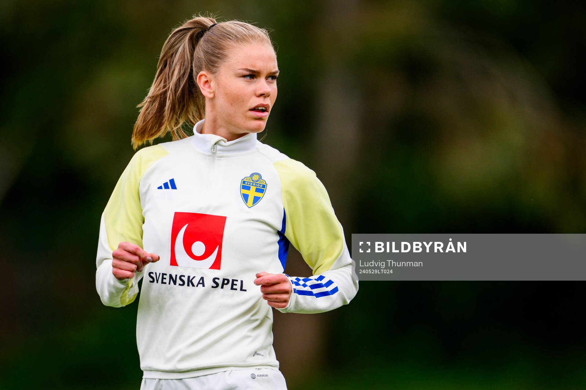 My Cato of Sweden at a training session