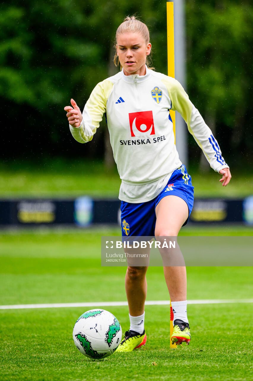 My Cato of Sweden at a training session