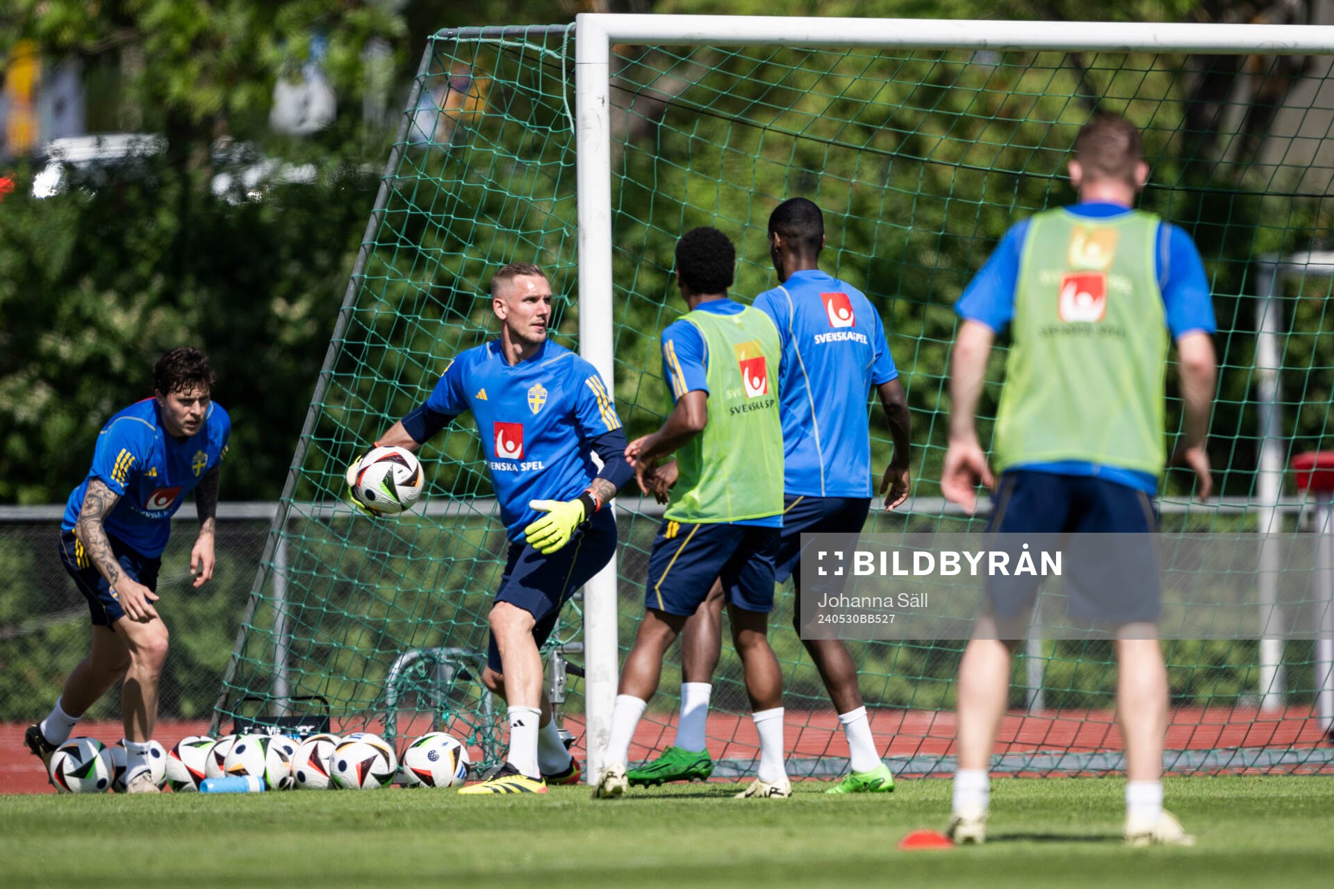 Goalkeeper of the Swedish men's national football team
