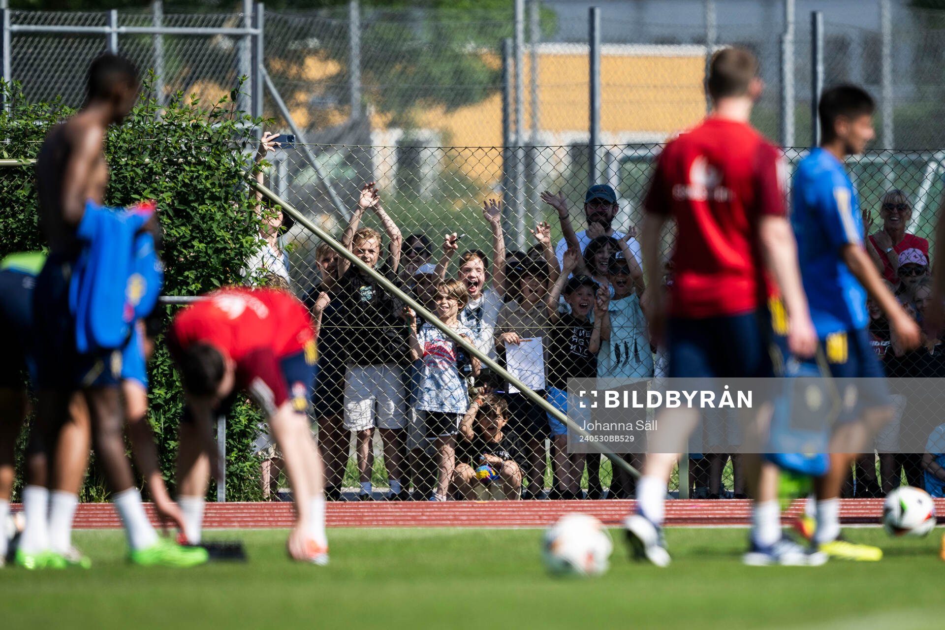Spectators follows the Swedish men's national football team