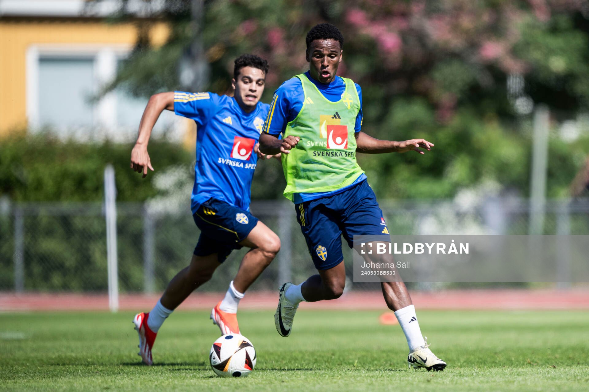 Niclas Eliasson of the Swedish men's national football team