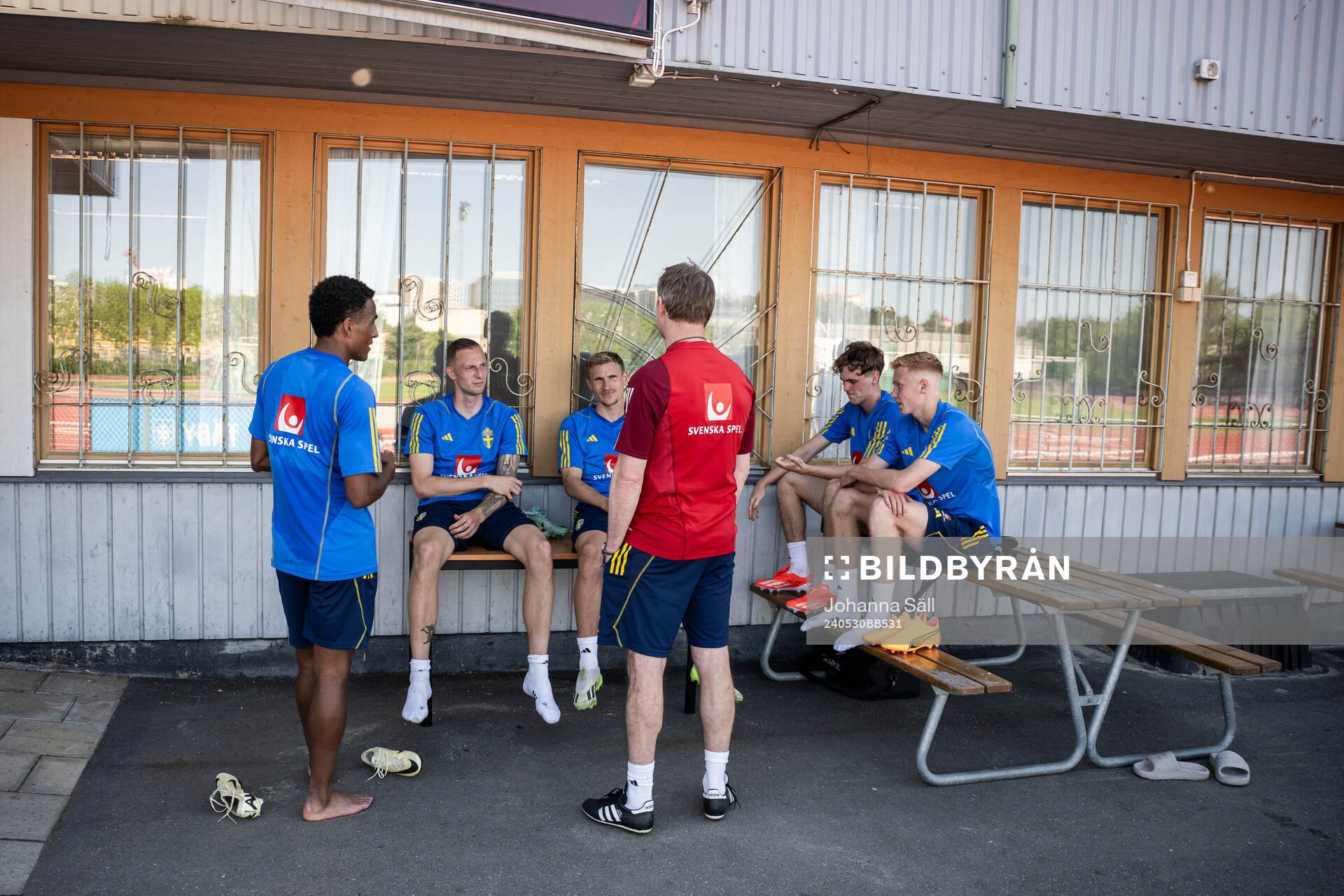 Niclas Eliasson, Simon Olsson, Carl Starfelt , Head coach