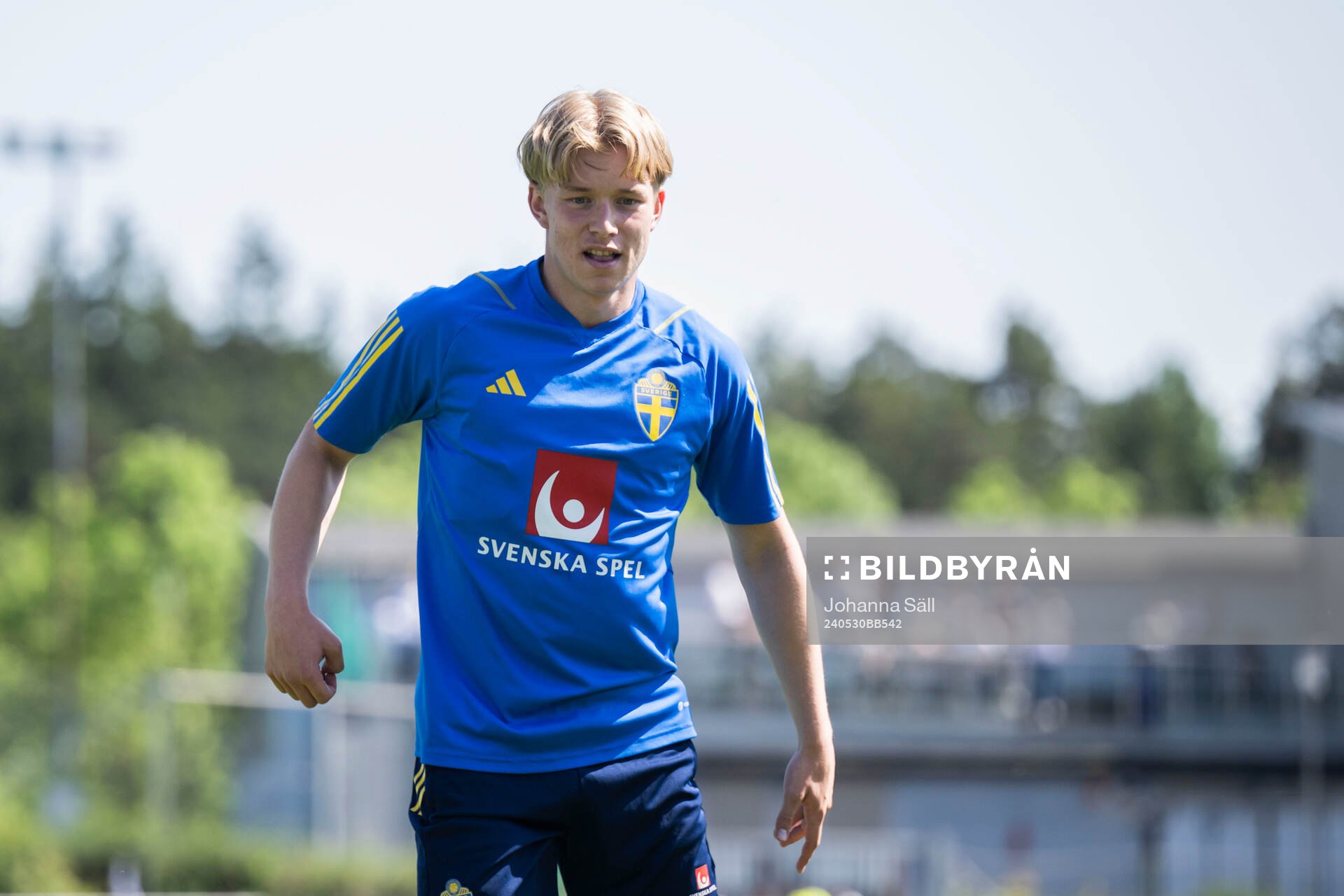 Daniel Svensson of the Swedish men's national football team