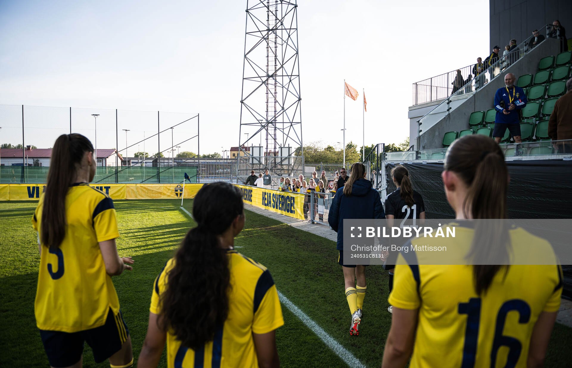 Players of Sweden