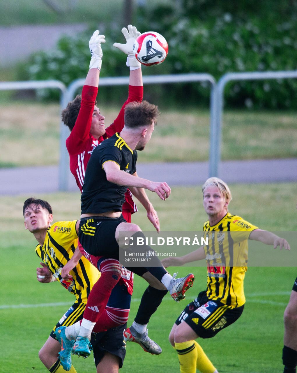 IFK Hässleholms målvakt Mirsad Basic greppar bollen i matchen i div. 2  mellan IFK Hässleholm och Räooe i Hässleholm 31 maj 2024.