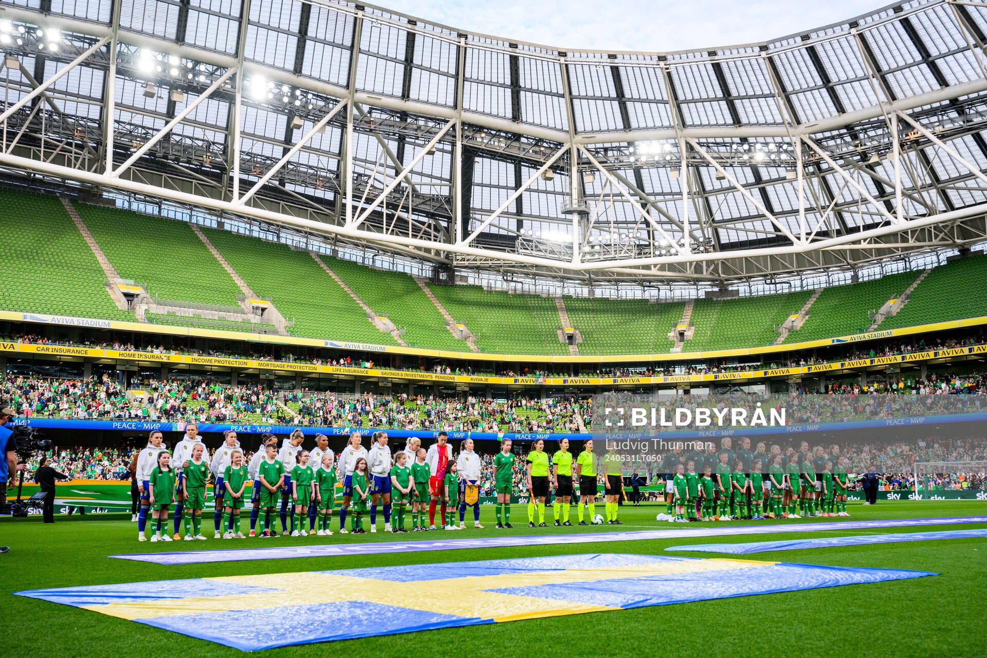 Players of Sweden and of Ireland