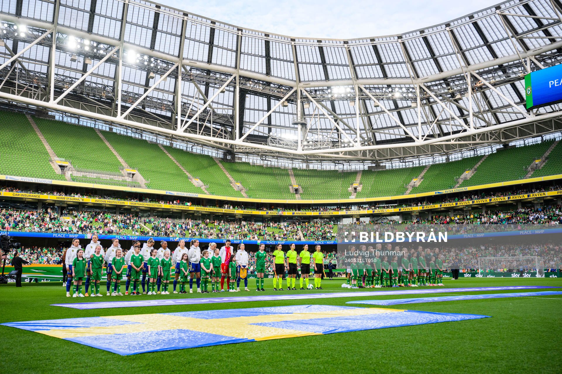 Players of Sweden and of Ireland