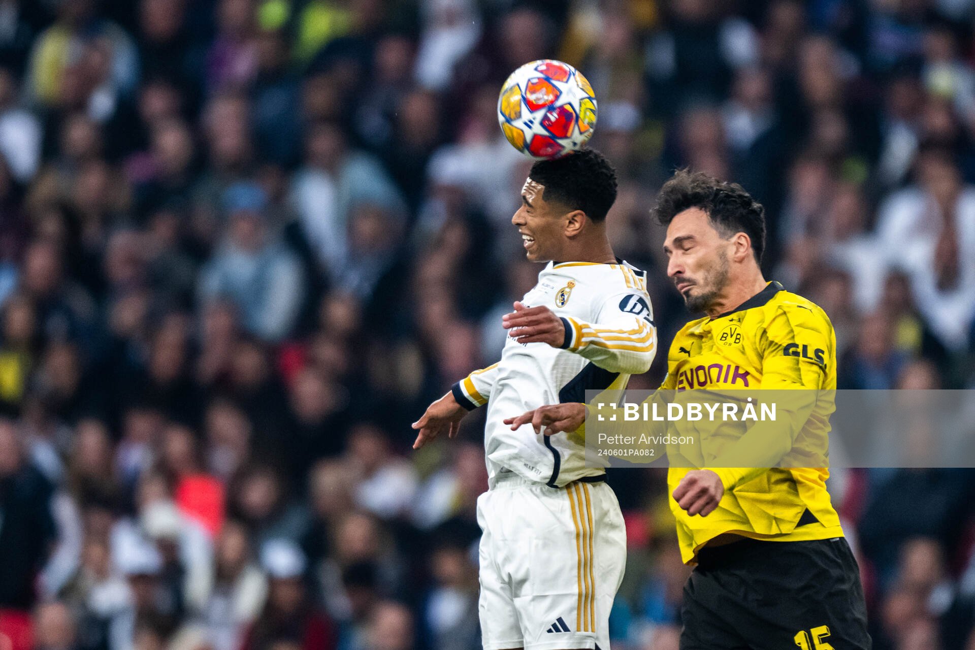 Jude Bellingham of Real Madrid and Mats Hummels of Dortmund