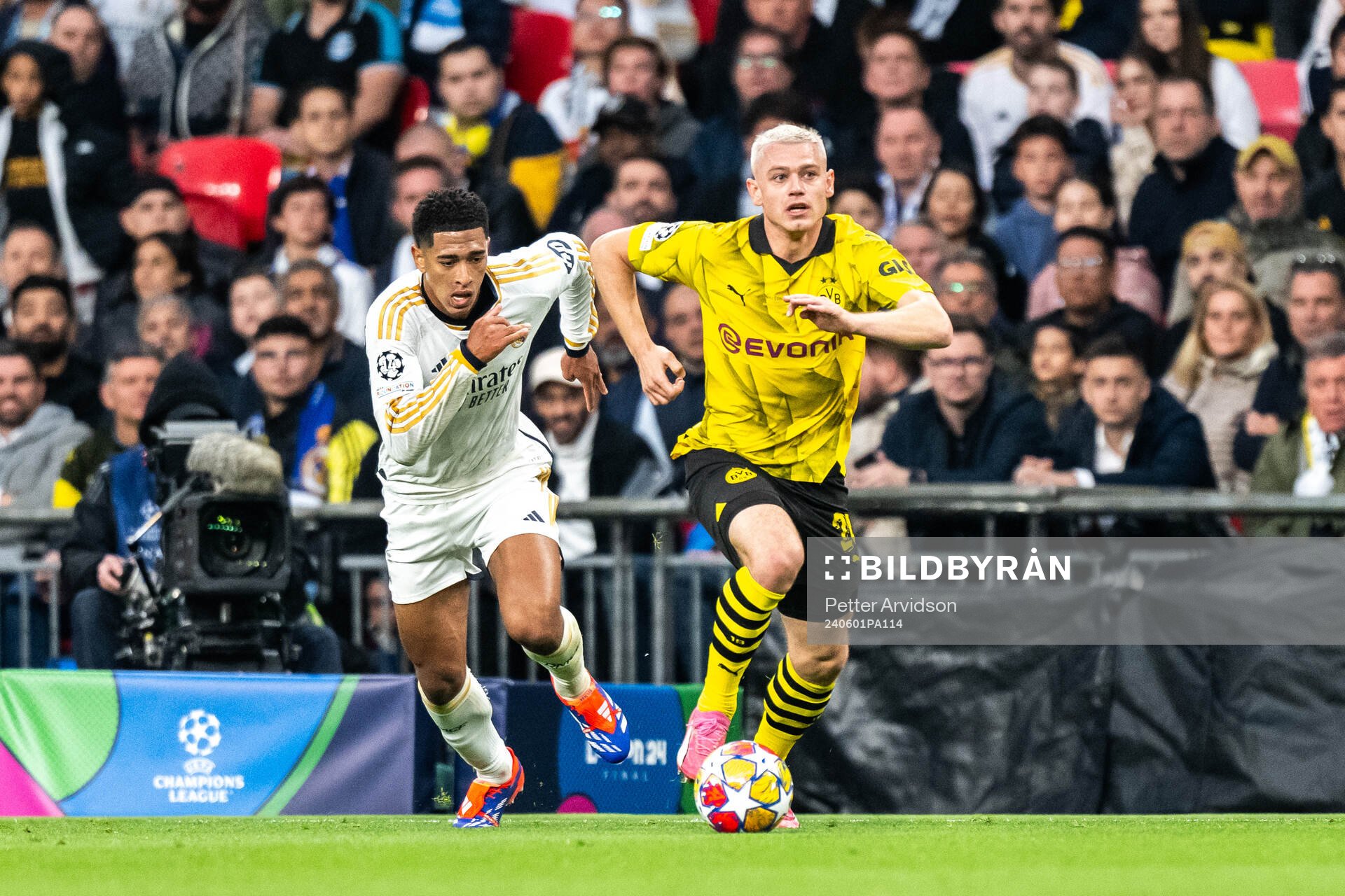 Julian Ryerson of Dortmund and Jude Bellingham of Real Madrid during the UEFA Champions League final between Dortmund and Real Madrid on June 1, 2024 in London.