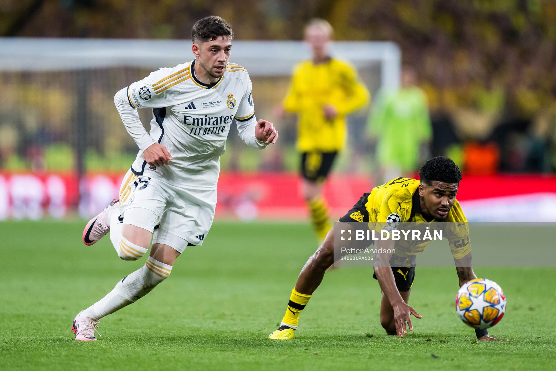 Federico Valverde of Real Madrid and Ian Maatsen of Dortmund