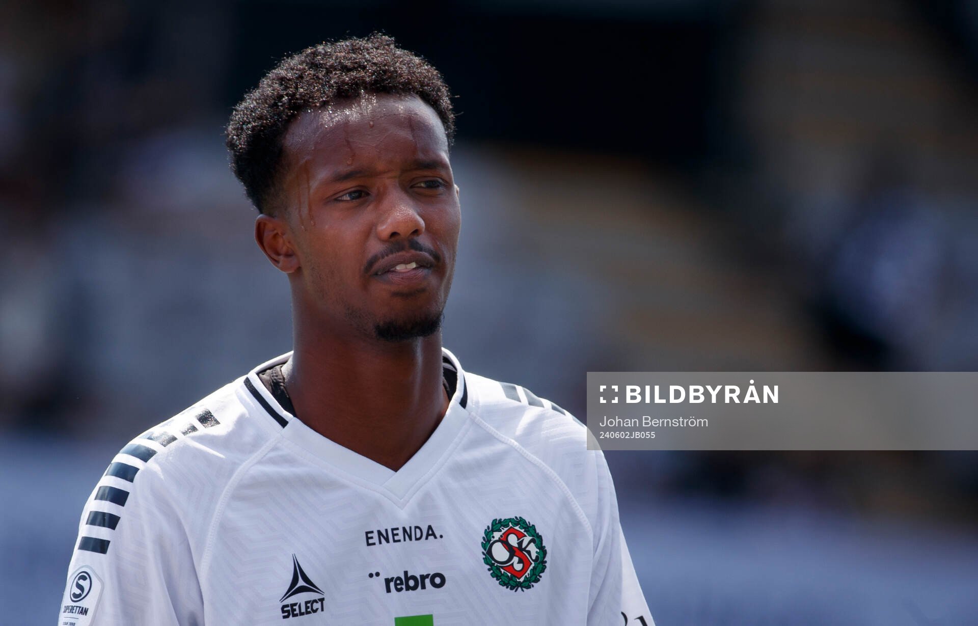 Örebros Hamse Shagaxle