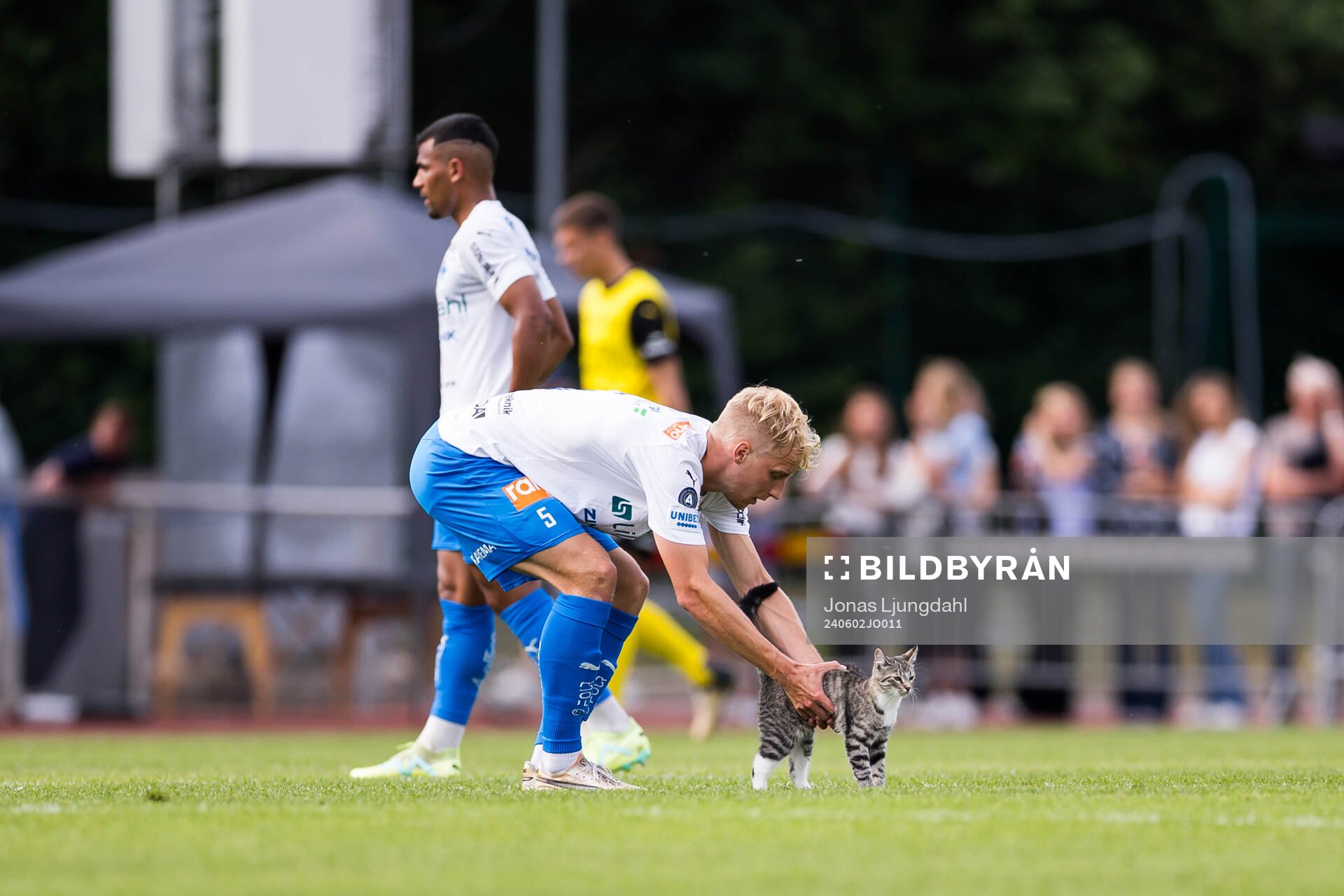  Värnamos Victor Larsson och en katt under fotbollsmatchen i Allsvenskan mellan Värnamo och Mjällby den 2 juni 2024 i Värnamo. 